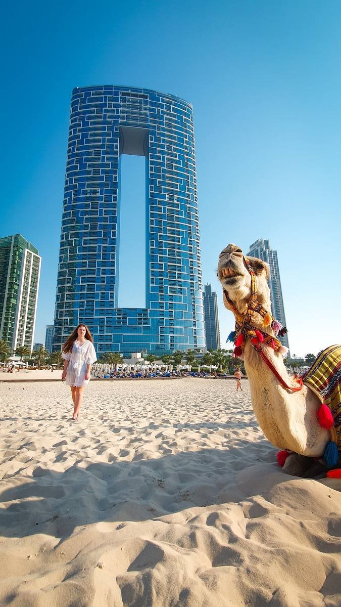 Camel on a Dubai beach with a modern hotel behind